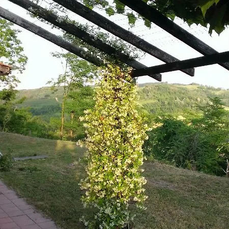 Large Secluded Villa, Fabulous Countryside Views, Beautiful Piedmonte Landscape Vila