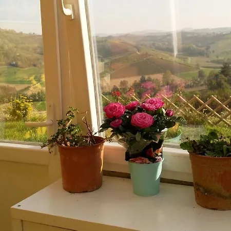 Large Secluded Villa, Fabulous Countryside Views, Beautiful Piedmonte Landscape