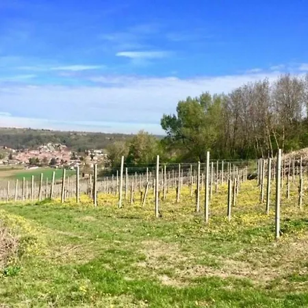 Vila Large Secluded Villa, Fabulous Countryside Views, Beautiful Piedmonte Landscape Castelnuovo Belbo